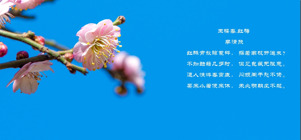 纪念风景画,宾得纪念