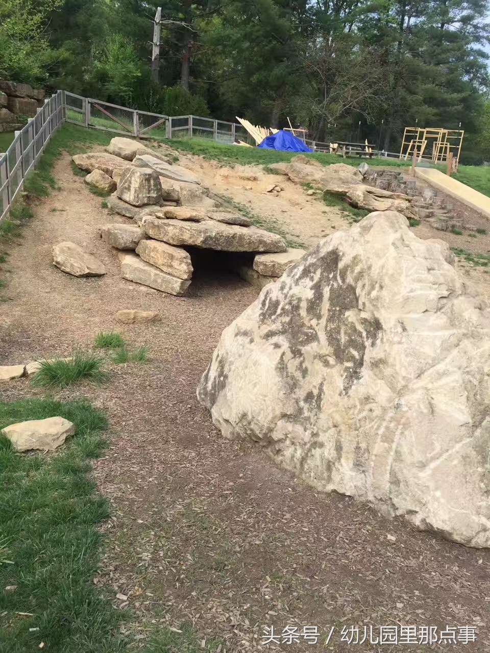 国外有名的自然生态幼儿园,国外的森林幼儿园