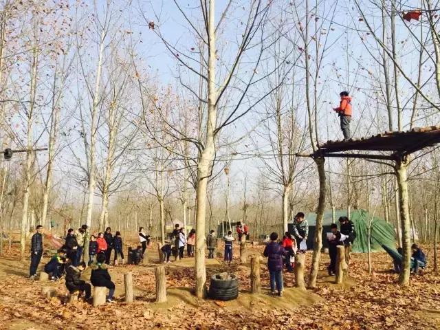 运城华德福森林幼儿园,华德福幼儿园的利弊