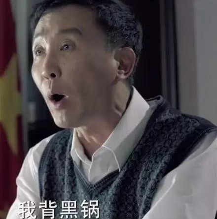 达康书记双眼皮完整版,达康书记由我来守护