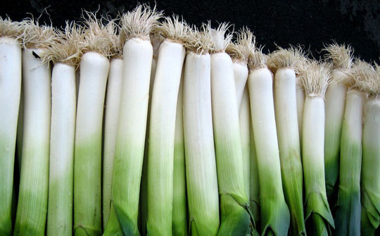 食物是治病的良药,最具治愈性的一味良药