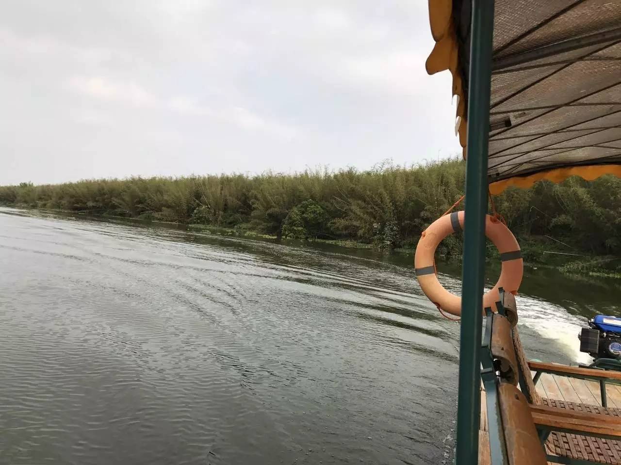 2020年惠州紫溪半岛花海世界,惠州紫溪半岛花海世界几月去最好