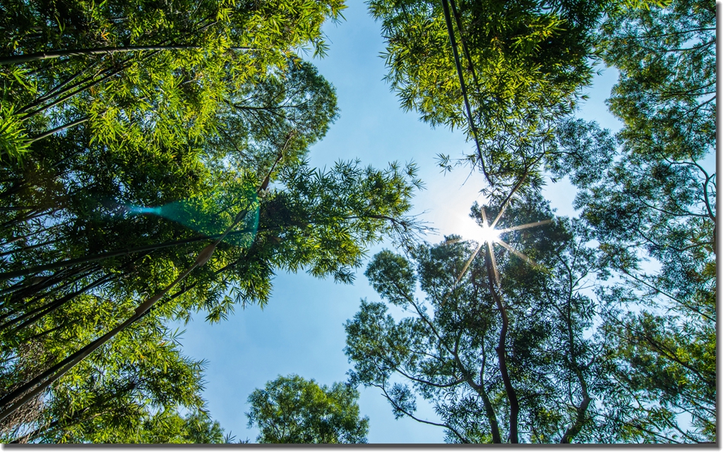 纪念风景画,宾得纪念
