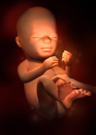 孕期做好各项检查的重要性,孕期做哪些检查能确保宝宝健康