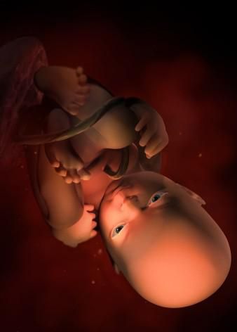 孕期做好各项检查的重要性,孕期做哪些检查能确保宝宝健康