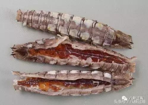 比手臂还粗的皮皮虾你吃过了吗,比手臂还大的皮皮虾吃起来超过瘾