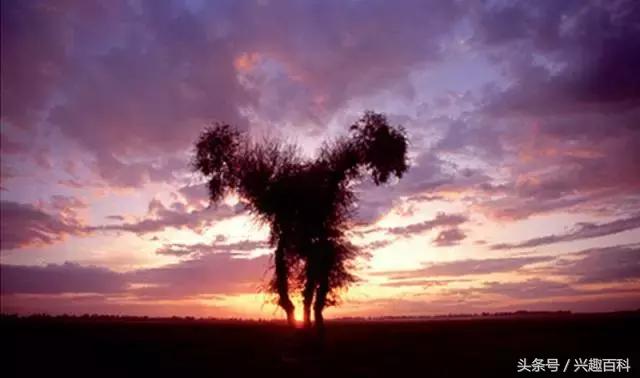 怎么讲解产品吸引人,最吸引人的产品话术