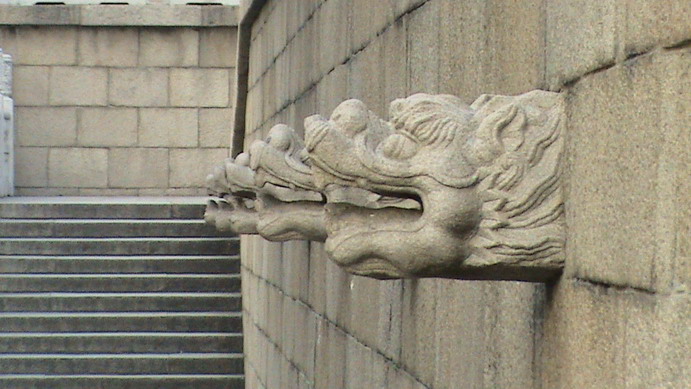 什么动物花心 (世界上最花心的动物是什么)