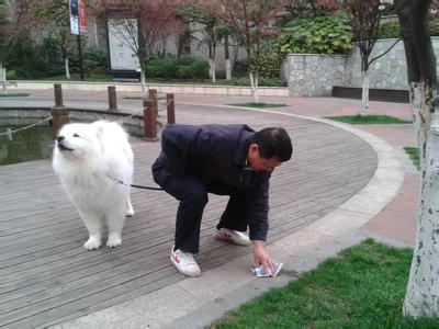 道格队长丨狗狗的行为纠正12期丨夭寿啦！我家狗又在吃屎啦