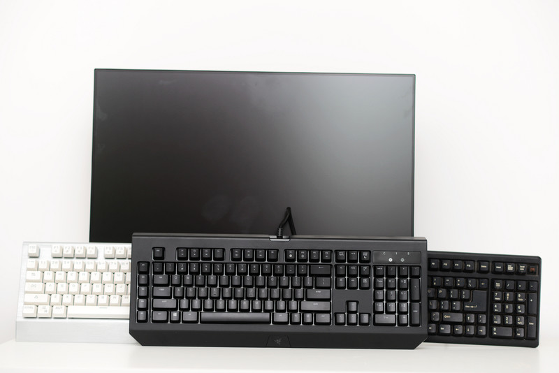 黑寡妇蜘蛛2019和幻彩版,黑寡妇蜘蛛幻彩版测评