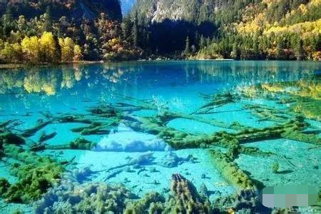 重庆出发九寨沟旅游攻略五天四夜,五一重庆到九寨沟旅游攻略