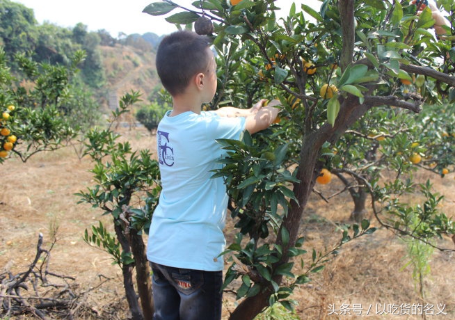 80后的我们重拾旧时光图片,80后怀念时光的图片
