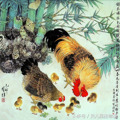 切记！属相鸡的朋友本命年注意这些事的话，本命年是好事！