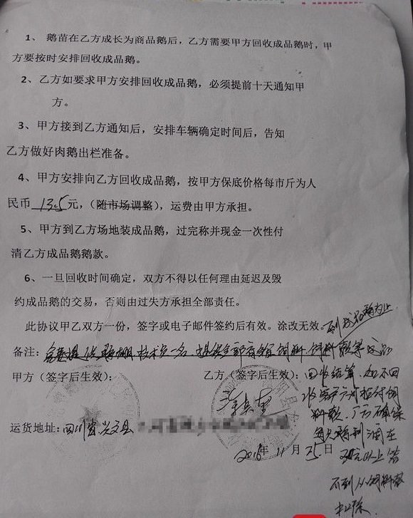网上免费养鹅回收是真的吗,养鹅回收怎样找销路