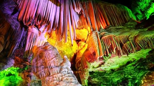 栾川竹海野生动物园研学日记,栾川暑期研学