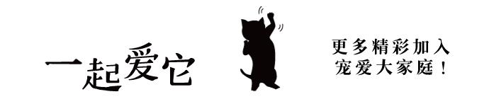 土狗幼犬拉黄色的粑粑什么问题,狗狗拉的便便什么颜色是正常的