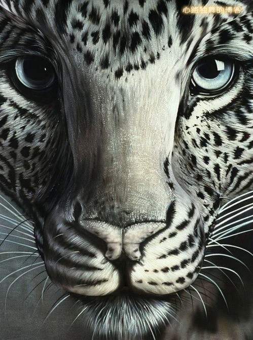 艺术家用自然物制作的作品图片,艺术家用自然的图案变成图谱