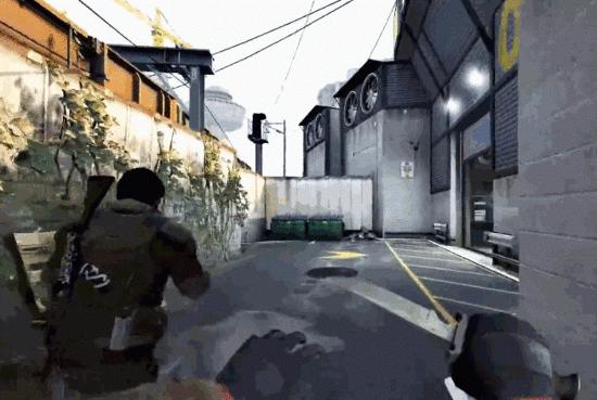 仓鼠你不知道的冷知识,长沙你不知道的冷知识