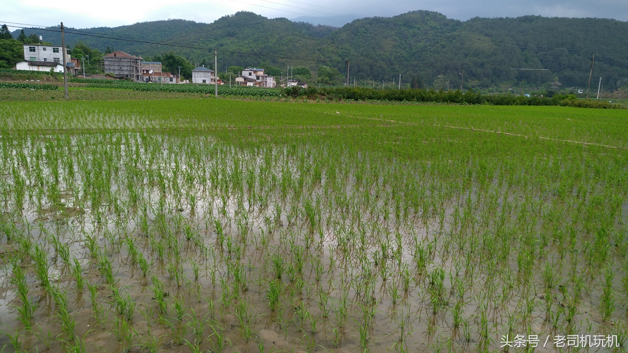 酷派s1最新改装,酷派改变者s1