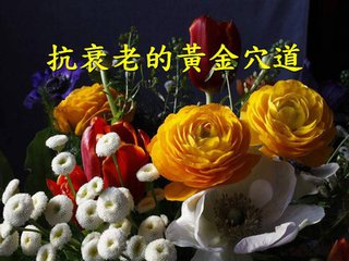 老祖宗养生十二式,养生四宝锻炼方法
