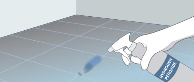 地上去除霉菌最有效的方法,家里容易长霉菌的地方