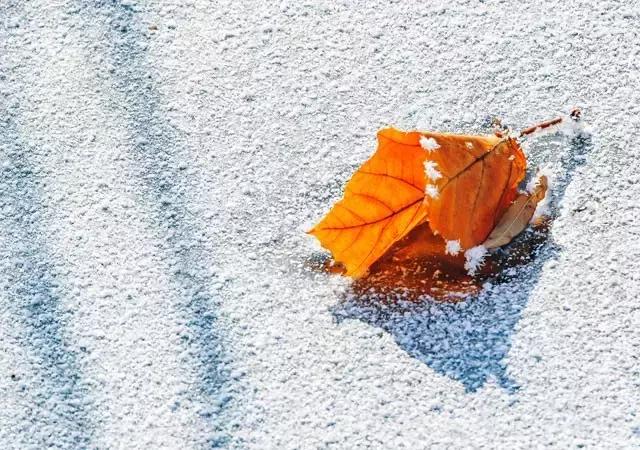 此生余年，和你一起看漫天雪舞