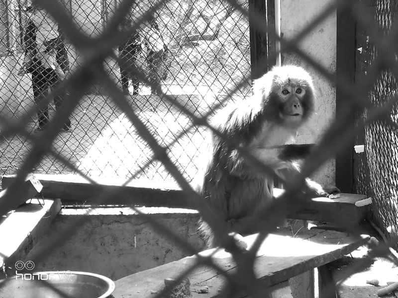 荣耀v9详细介绍,荣耀v9emui9.1哪个版本最流畅