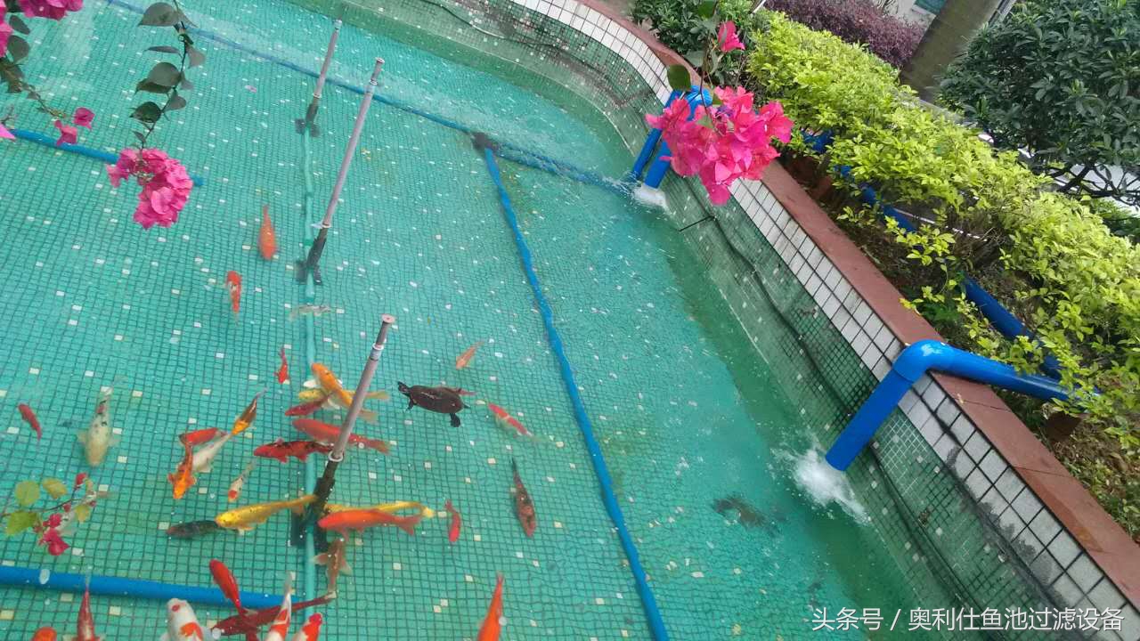 22立方鱼池价格一览表,36平方鱼池建造价格一览表