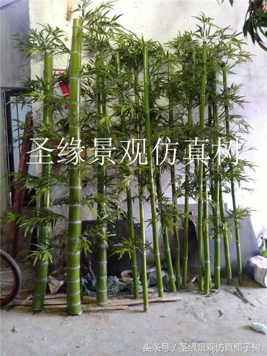仿真粗竹子植物,似竹子的室内植物