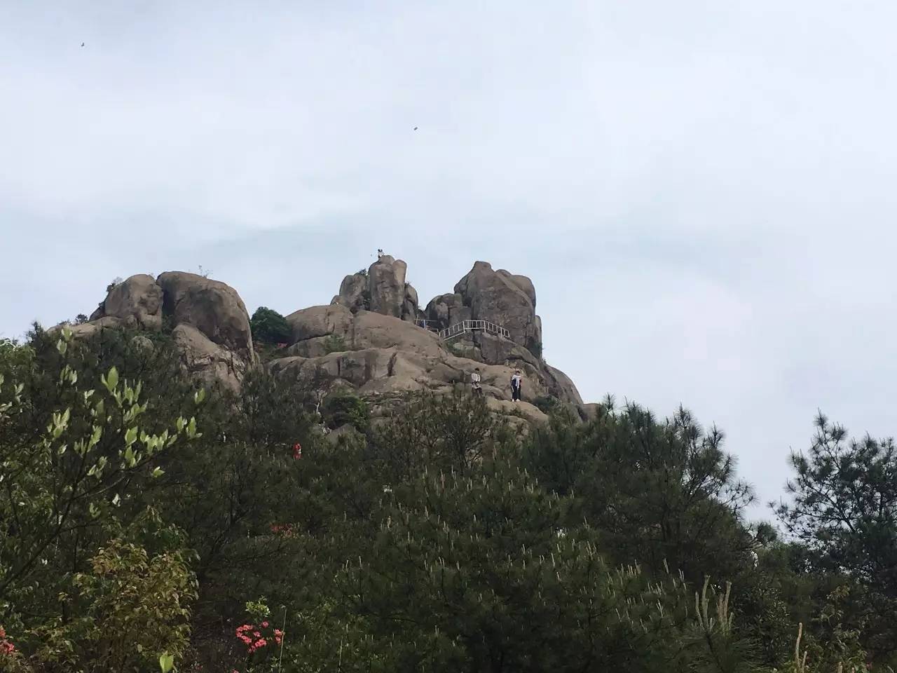 大罗山龙脊离百家尖有多远,大罗山瓯海一日游最佳路线图