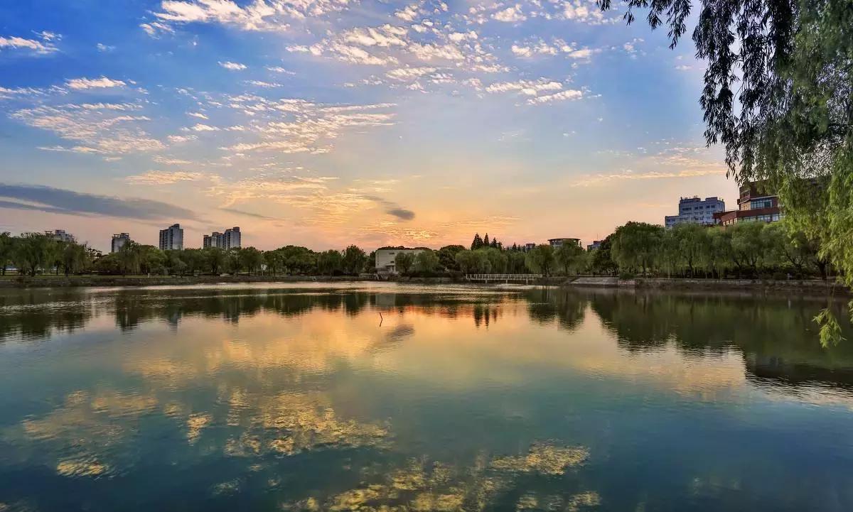 魔都各大高校里竟藏了这么多人少景美的秘密好地方,假期约起来!