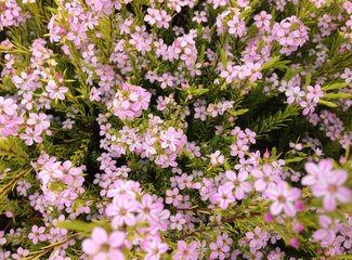 新西兰全景巴士,那些自驾游来不及知道的事儿(北岛+南岛超多公共交通实用信息各类购票详细教程InterCity)