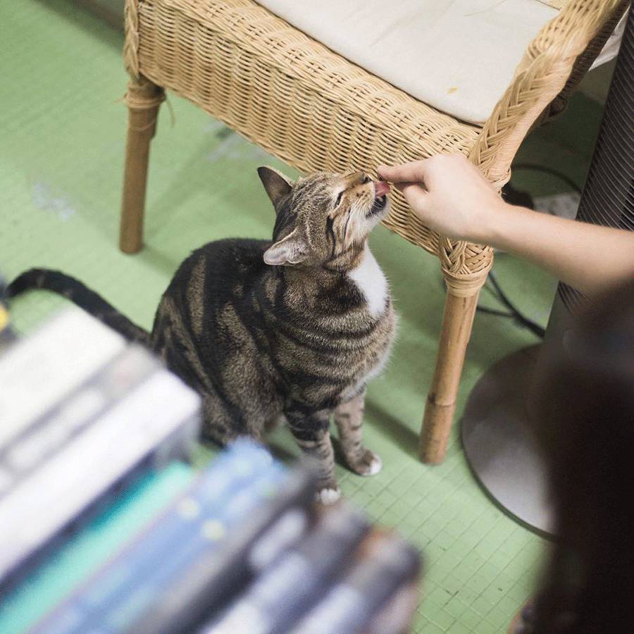 在喧闹的城市中寻一份静谧书店,独立书店的精神居所