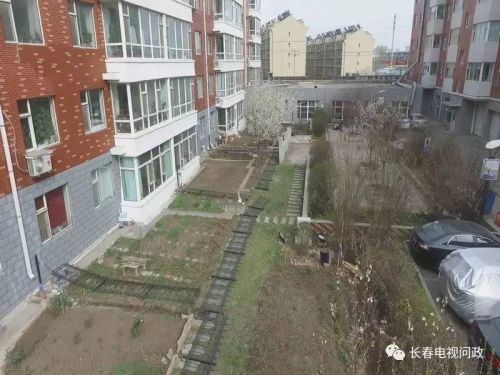 长春小区围墙被推倒,长春绿地违建拆除名单