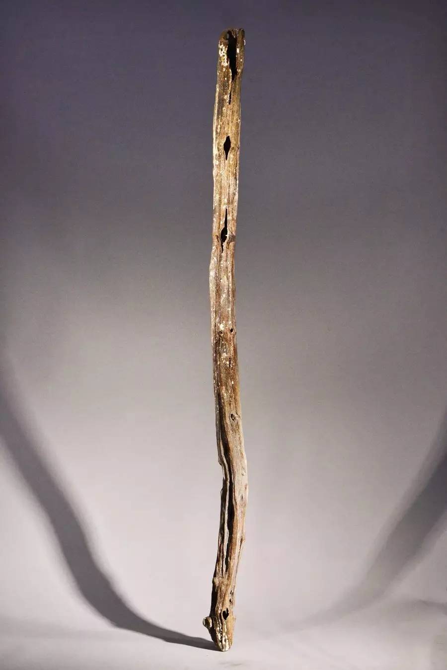 本草纲目降糖法,本草纲目速降版