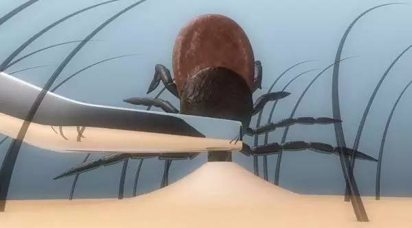 2岁男宝呕吐发烧,一周岁男孩呕吐发烧