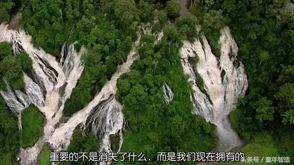 假期一定要带孩子看的5部纪录片,孩子必看的10部自然纪录片