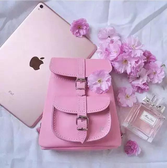 20款好看又实用的女士双肩包推荐,刘雯斜挎休闲包