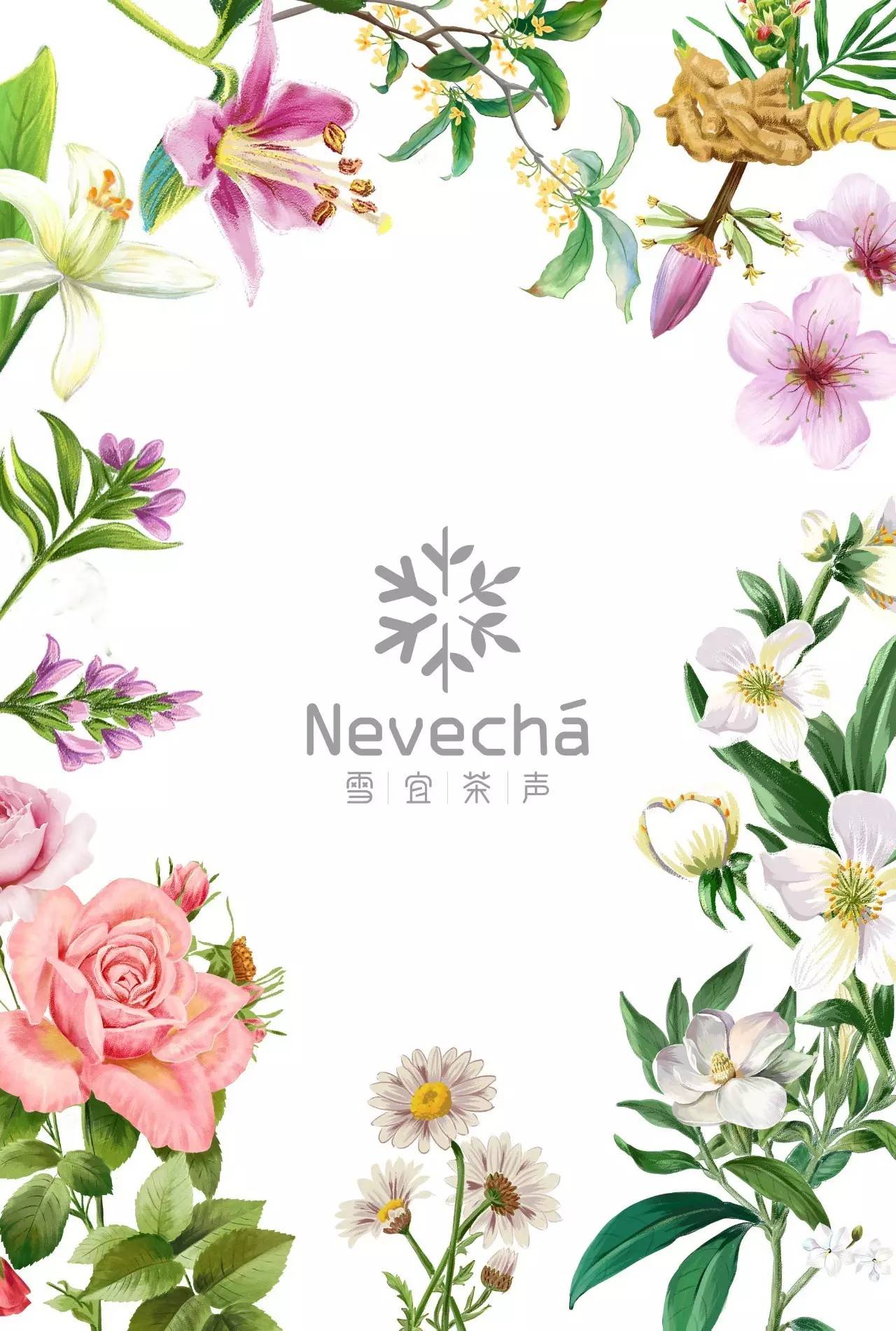 西林原创丨中茶·雪宜茶声品牌包装全案设计