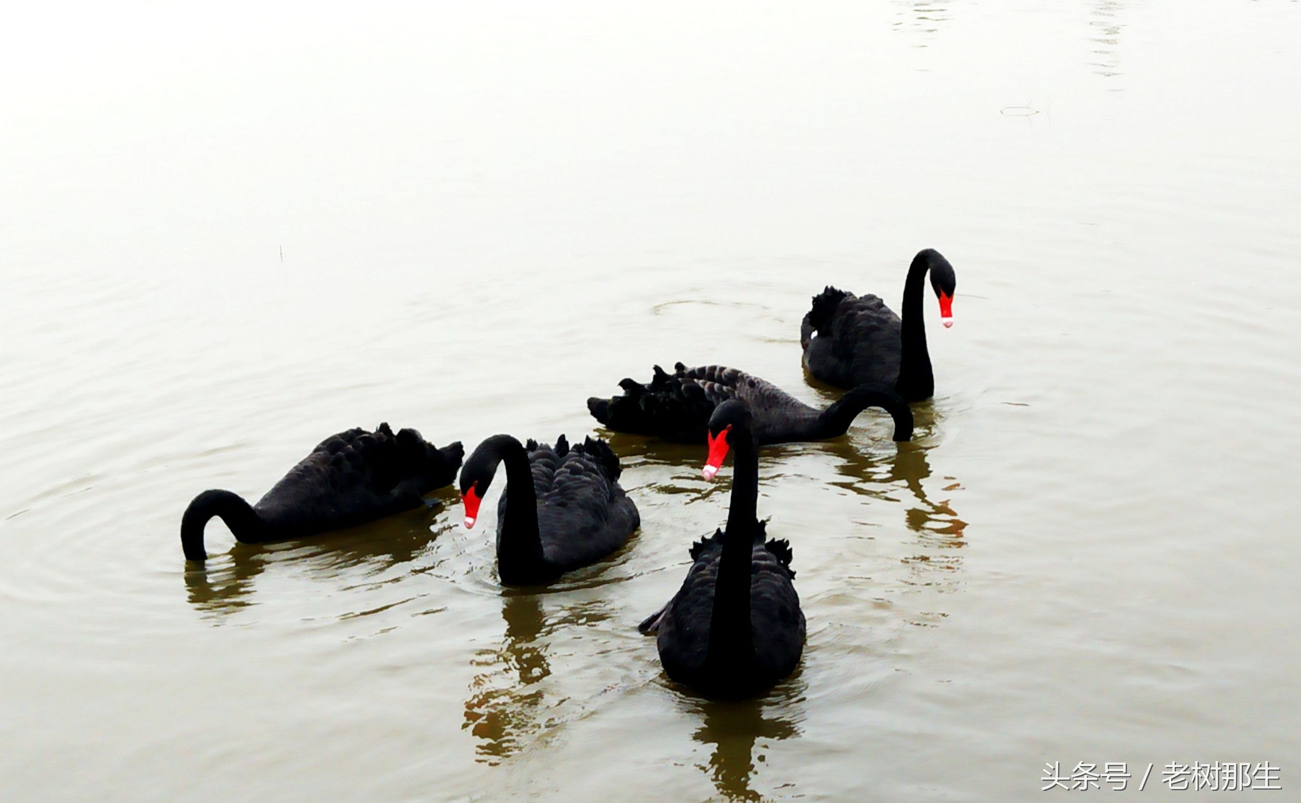 南宁花雨湖景区好玩吗,南宁花雨湖风景区