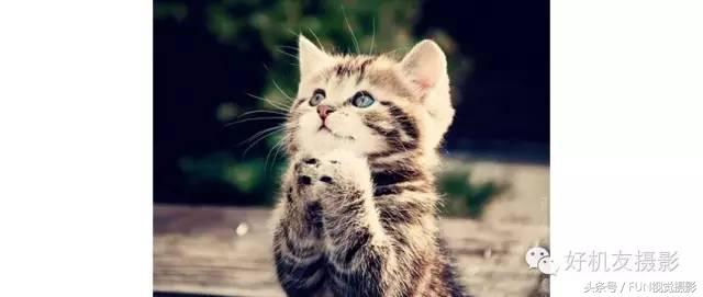 花卉创意摄影作品欣赏,花卉创意摄影十个技巧是什么