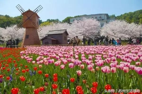 苏州5月展会,苏州四月有什么展览