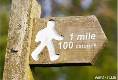 减肥不用节食,不用运动不用节食怎样才能减肥