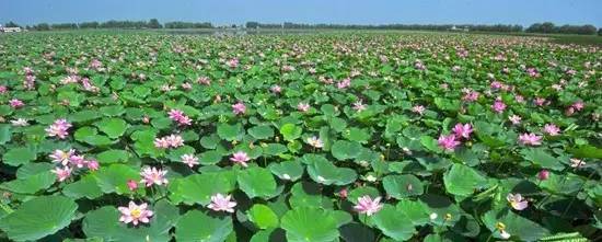 哈尔滨到佳木斯路上好玩的,哈尔滨到佳木斯怎么去最省钱