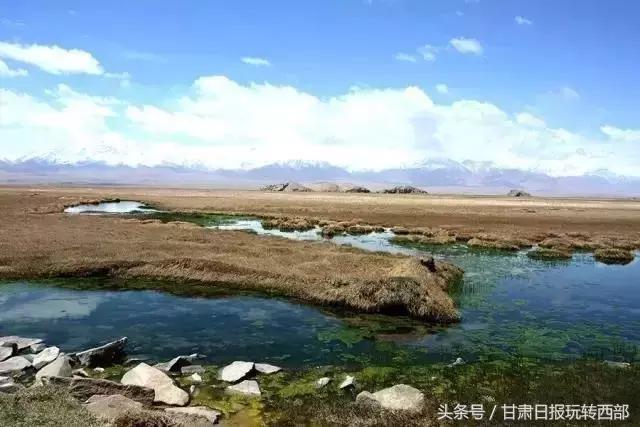 甘肃这个小边防县，人少景美就算了，居然还有雪豹棕熊和赤狐！