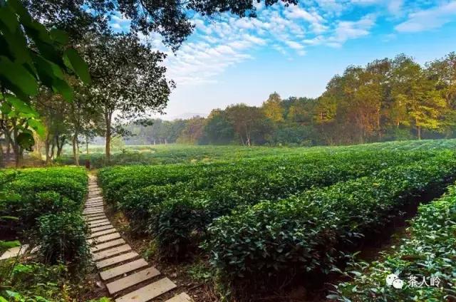 中国10大最美海边民宿,39家中国最美民宿