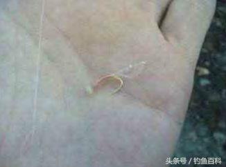 日本为什么喜欢中国钓鱼,日本sabiki钓鱼