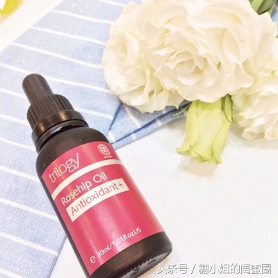 玫瑰果油纯天然植物油,玫瑰果油哪个牌子最好用