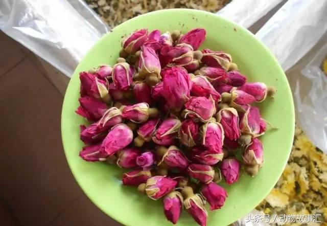 肝气不足喝什么代茶饮好,疏肝理气代茶饮有什么经典名方