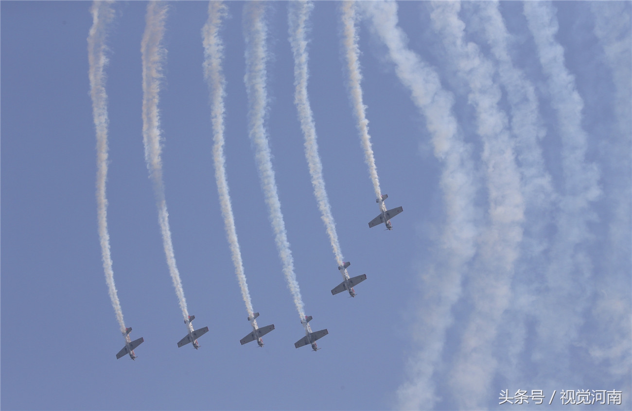 閮戝窞鑸睍,2019閮戝窞鍥介檯鑸睍